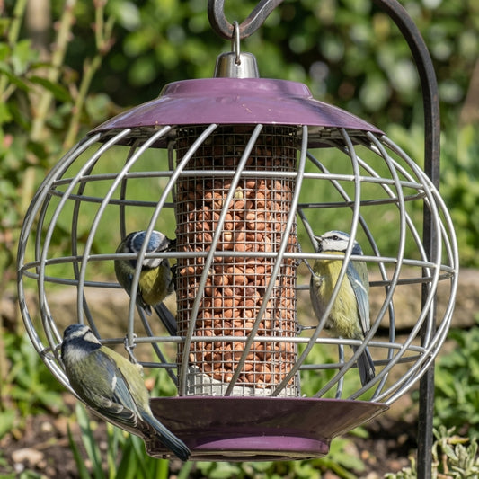 Round Nut Bird Feeder - Lockable Lid
