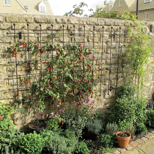 0.95m x 1.7m Decorative Wall Trellis Panel - Steel